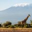 Abercrombie & Kent to open lodge in Kenya