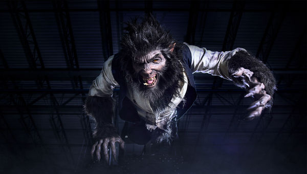 Guests trying to escape Frankenstein Manor will encounter the Wolf Man. Guests trying to escape Frankenstein Manor will encounter the Wolf Man.