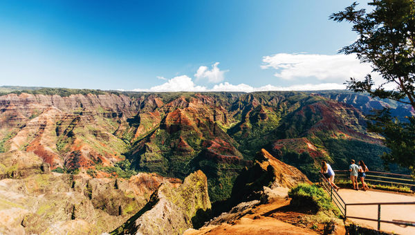 Taking in the view at Waimea Canyon State Park, known as the "Grand Canyon of the Pacific." Taking in the view at Waimea Canyon State Park, known as the "Grand Canyon of the Pacific."