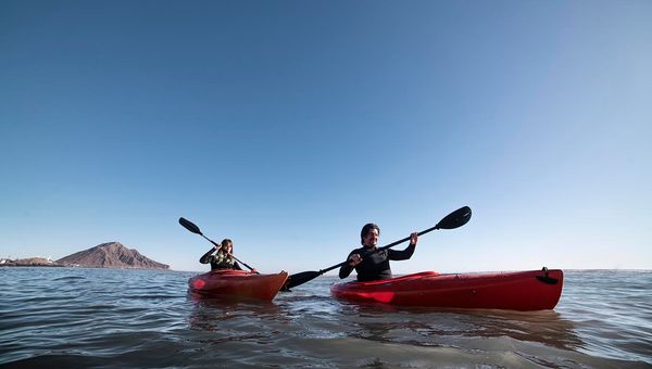 Today's Top Travel Trends According to Advisors Today's Top Travel Trends According to Advisors